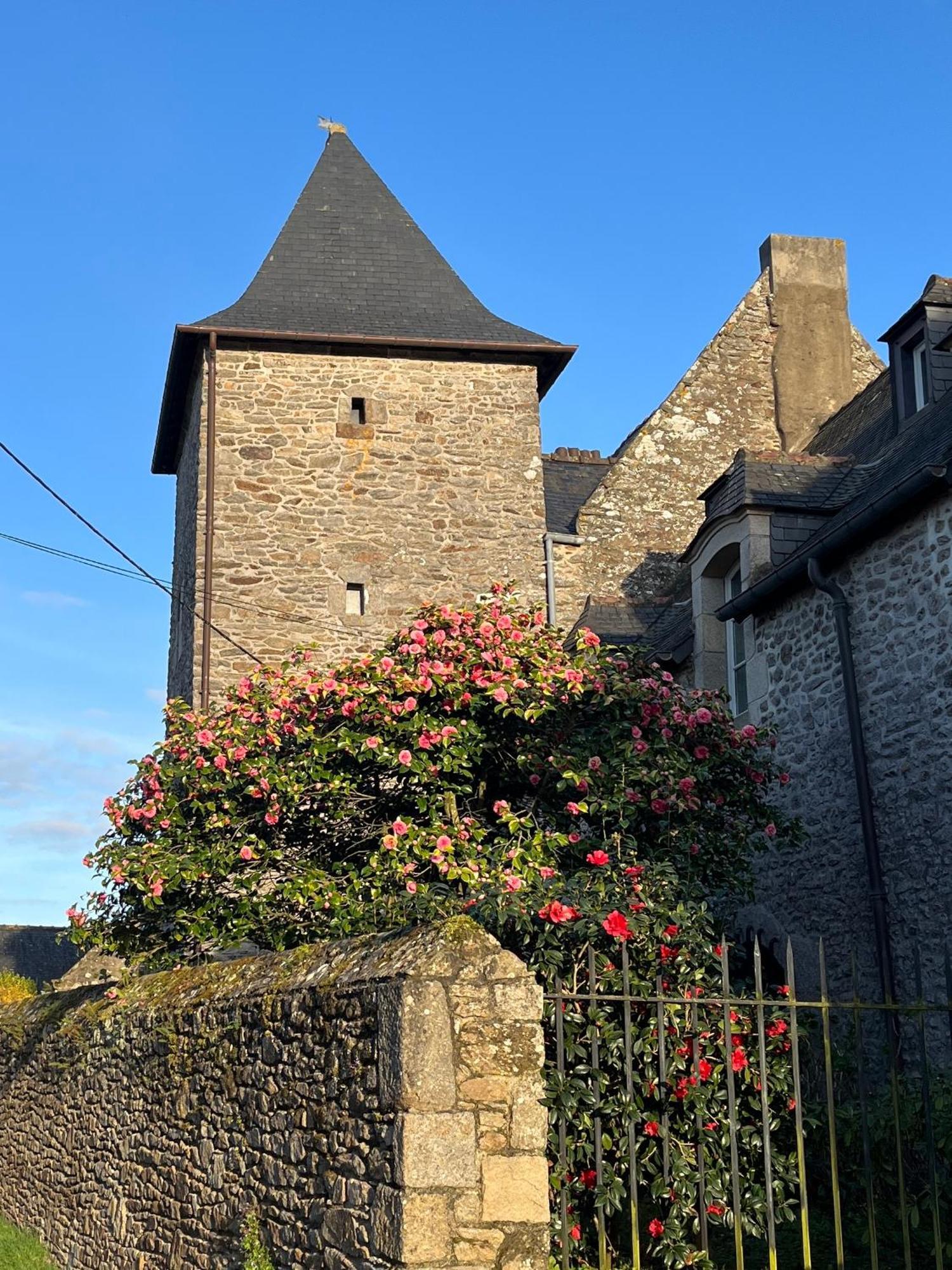 Bed and Breakfast Manoir Des Bords De Rance Plouër-sur-Rance Esterno foto