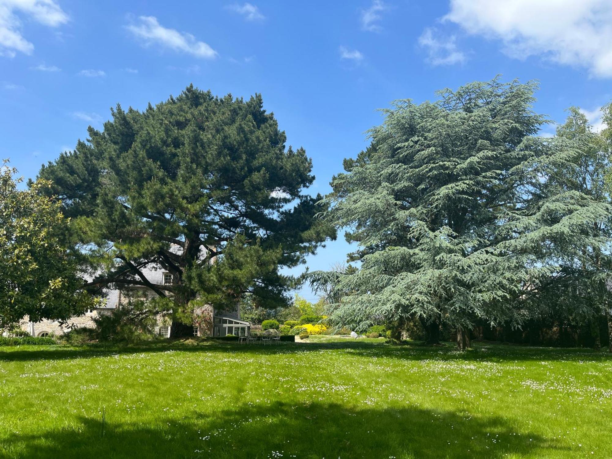 Bed and Breakfast Manoir Des Bords De Rance Plouër-sur-Rance Esterno foto