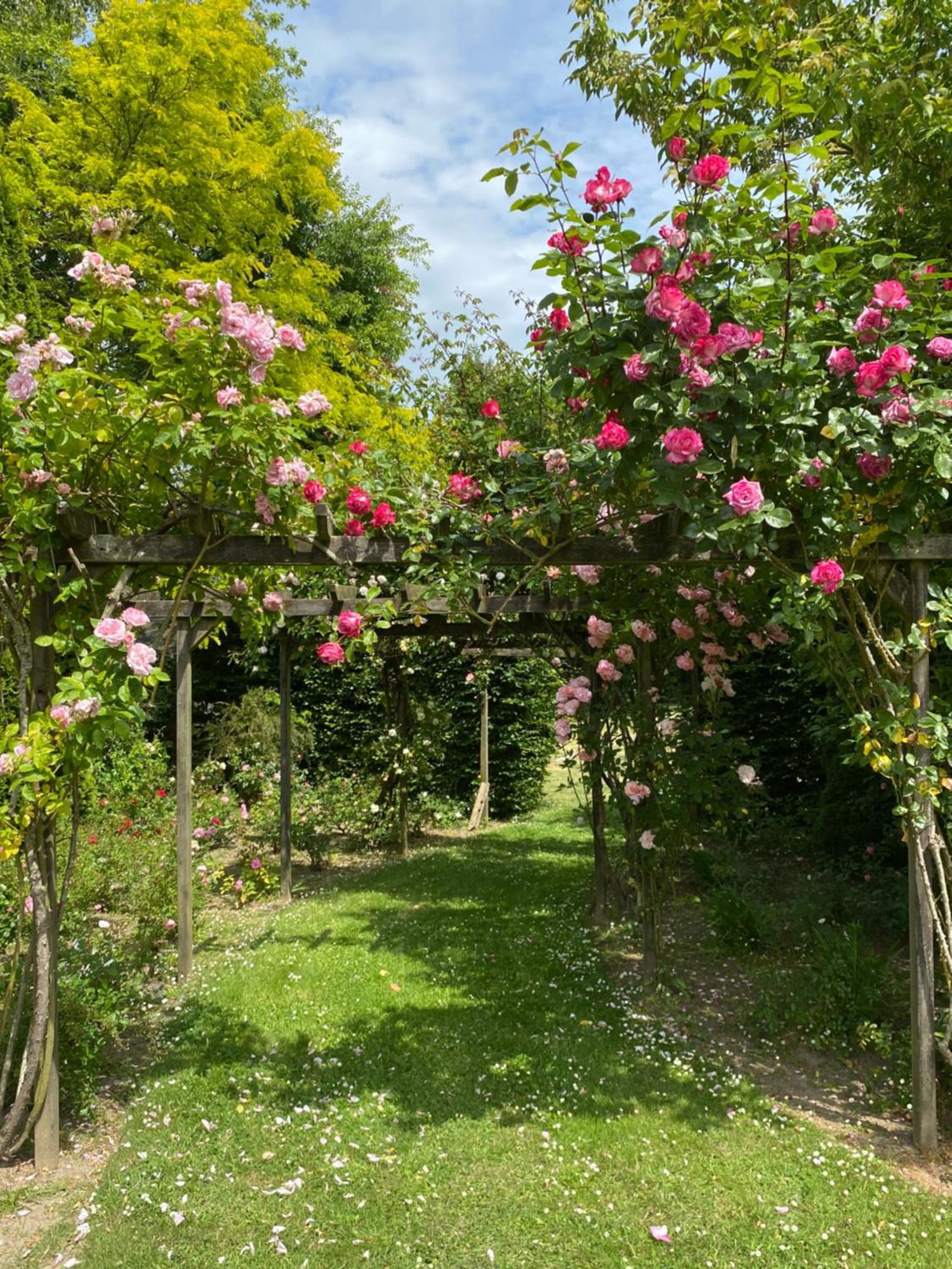 Bed and Breakfast Manoir Des Bords De Rance Plouër-sur-Rance Esterno foto
