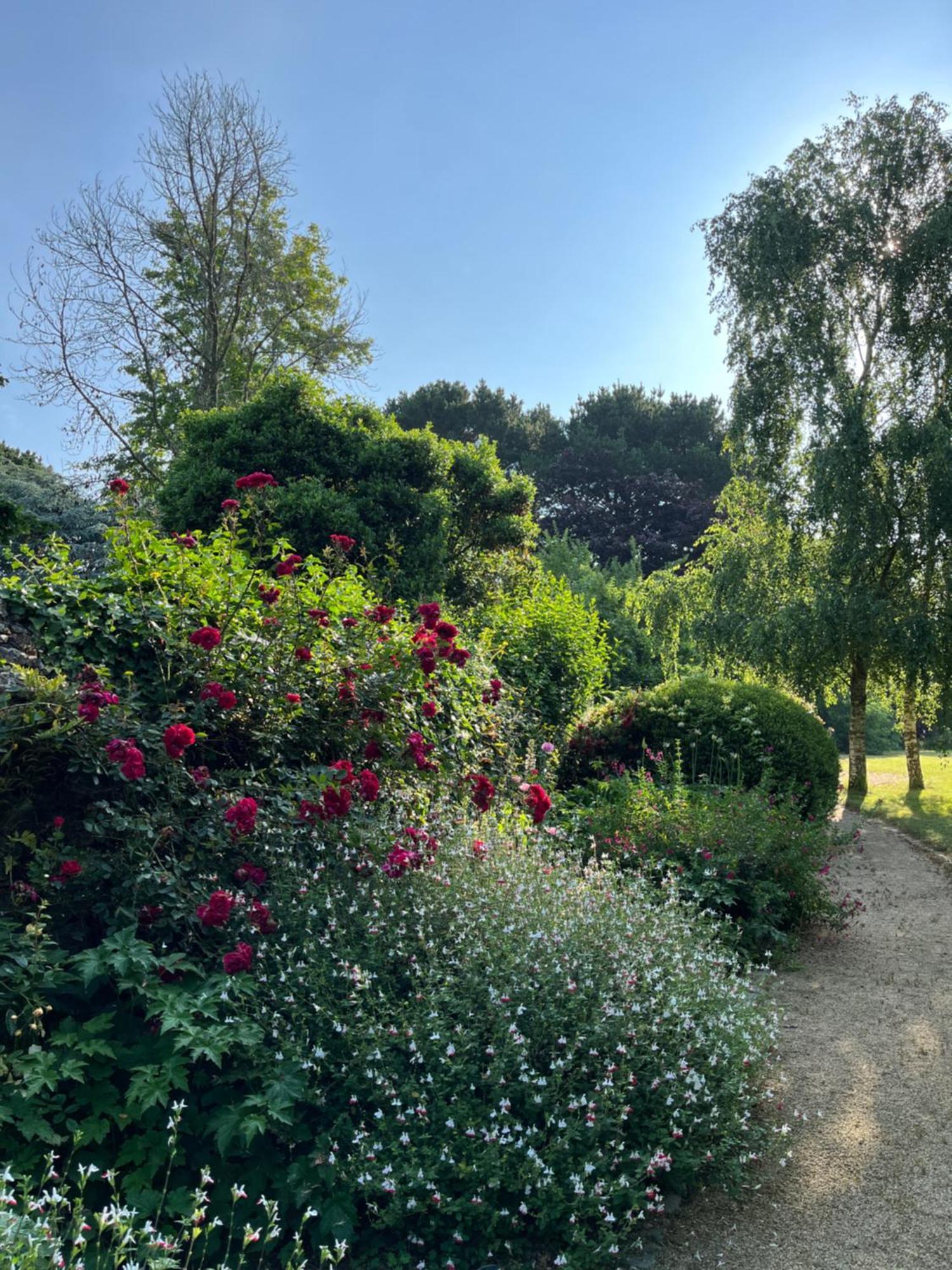 Bed and Breakfast Manoir Des Bords De Rance Plouër-sur-Rance Esterno foto